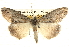 ( - BIOUG14243-A07)  @15 [ ] CreativeCommons - Attribution (2014) CBG Photography Group Centre for Biodiversity Genomics