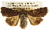  ( - BIOUG14243-B03)  @13 [ ] CreativeCommons - Attribution (2014) CBG Photography Group Centre for Biodiversity Genomics