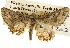  ( - BIOUG14243-B05)  @12 [ ] CreativeCommons - Attribution (2014) CBG Photography Group Centre for Biodiversity Genomics