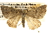  ( - BIOUG14243-B09)  @13 [ ] CreativeCommons - Attribution (2014) CBG Photography Group Centre for Biodiversity Genomics