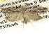  ( - BIOUG14243-E01)  @13 [ ] CreativeCommons - Attribution (2014) CBG Photography Group Centre for Biodiversity Genomics