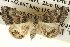  ( - BIOUG14243-E04)  @14 [ ] CreativeCommons - Attribution (2014) CBG Photography Group Centre for Biodiversity Genomics