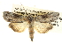  ( - BIOUG14243-G02)  @15 [ ] CreativeCommons - Attribution (2014) CBG Photography Group Centre for Biodiversity Genomics