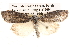  ( - BIOUG14244-B01)  @13 [ ] CreativeCommons - Attribution (2014) CBG Photography Group Centre for Biodiversity Genomics