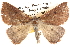  ( - BIOUG14244-B04)  @14 [ ] CreativeCommons - Attribution (2014) CBG Photography Group Centre for Biodiversity Genomics