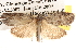  ( - BIOUG14244-C12)  @14 [ ] CreativeCommons - Attribution (2014) CBG Photography Group Centre for Biodiversity Genomics