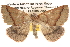  ( - BIOUG14244-D03)  @14 [ ] CreativeCommons - Attribution (2014) CBG Photography Group Centre for Biodiversity Genomics