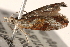  ( - BIOUG14244-E10)  @12 [ ] CreativeCommons - Attribution (2014) CBG Photography Group Centre for Biodiversity Genomics