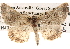  ( - BIOUG14245-B09)  @13 [ ] CreativeCommons - Attribution (2014) CBG Photography Group Centre for Biodiversity Genomics