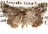  ( - BIOUG14245-B10)  @13 [ ] CreativeCommons - Attribution (2014) CBG Photography Group Centre for Biodiversity Genomics