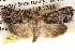  ( - BIOUG14245-F05)  @14 [ ] CreativeCommons - Attribution (2014) CBG Photography Group Centre for Biodiversity Genomics