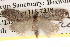  ( - BIOUG14245-G06)  @13 [ ] CreativeCommons - Attribution (2014) CBG Photography Group Centre for Biodiversity Genomics