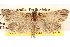  ( - BIOUG14246-C02)  @14 [ ] CreativeCommons - Attribution (2014) CBG Photography Group Centre for Biodiversity Genomics