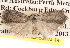  ( - BIOUG14246-D12)  @12 [ ] CreativeCommons - Attribution (2014) CBG Photography Group Centre for Biodiversity Genomics