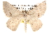  ( - BIOUG14246-H09)  @14 [ ] CreativeCommons - Attribution (2014) CBG Photography Group Centre for Biodiversity Genomics