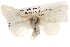  ( - BIOUG14247-A08)  @13 [ ] CreativeCommons - Attribution (2014) CBG Photography Group Centre for Biodiversity Genomics