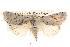  ( - BIOUG14247-D01)  @15 [ ] CreativeCommons - Attribution (2014) CBG Photography Group Centre for Biodiversity Genomics