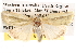  ( - BIOUG14247-D12)  @13 [ ] CreativeCommons - Attribution (2014) CBG Photography Group Centre for Biodiversity Genomics