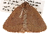  ( - BIOUG14247-E10)  @13 [ ] CreativeCommons - Attribution (2014) CBG Photography Group Centre for Biodiversity Genomics