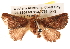  ( - BIOUG14247-H06)  @13 [ ] CreativeCommons - Attribution (2014) CBG Photography Group Centre for Biodiversity Genomics
