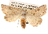  ( - BIOUG14247-H07)  @13 [ ] CreativeCommons - Attribution (2014) CBG Photography Group Centre for Biodiversity Genomics