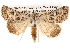  ( - BIOUG14248-A01)  @14 [ ] CreativeCommons - Attribution (2014) CBG Photography Group Centre for Biodiversity Genomics