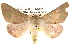  ( - BIOUG14248-C05)  @15 [ ] CreativeCommons - Attribution (2014) CBG Photography Group Centre for Biodiversity Genomics