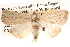  ( - BIOUG14248-C07)  @14 [ ] CreativeCommons - Attribution (2014) CBG Photography Group Centre for Biodiversity Genomics