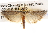  ( - BIOUG14248-D04)  @14 [ ] CreativeCommons - Attribution (2014) CBG Photography Group Centre for Biodiversity Genomics