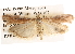  ( - BIOUG14248-E09)  @14 [ ] CreativeCommons - Attribution (2014) CBG Photography Group Centre for Biodiversity Genomics