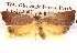  ( - BIOUG14248-G08)  @12 [ ] CreativeCommons - Attribution (2014) CBG Photography Group Centre for Biodiversity Genomics
