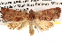 ( - BIOUG14426-A09)  @14 [ ] CreativeCommons - Attribution (2014) CBG Photography Group Centre for Biodiversity Genomics