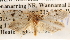  ( - BIOUG14426-B05)  @13 [ ] CreativeCommons - Attribution (2014) CBG Photography Group Centre for Biodiversity Genomics
