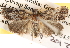  ( - BIOUG14426-E05)  @14 [ ] CreativeCommons - Attribution (2014) CBG Photography Group Centre for Biodiversity Genomics