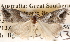  ( - BIOUG14426-F04)  @12 [ ] CreativeCommons - Attribution (2014) CBG Photography Group Centre for Biodiversity Genomics