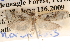  ( - BIOUG14426-H09)  @13 [ ] CreativeCommons - Attribution (2014) CBG Photography Group Centre for Biodiversity Genomics