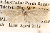  ( - BIOUG14426-H11)  @12 [ ] CreativeCommons - Attribution (2014) CBG Photography Group Centre for Biodiversity Genomics