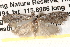  ( - BIOUG14608-A07)  @12 [ ] CreativeCommons - Attribution (2014) CBG Photography Group Centre for Biodiversity Genomics