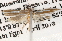  ( - BIOUG14608-A09)  @12 [ ] CreativeCommons - Attribution (2014) CBG Photography Group Centre for Biodiversity Genomics