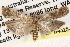  ( - BIOUG14608-A10)  @13 [ ] CreativeCommons - Attribution (2014) CBG Photography Group Centre for Biodiversity Genomics