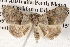 ( - BIOUG14608-B09)  @14 [ ] CreativeCommons - Attribution (2014) CBG Photography Group Centre for Biodiversity Genomics