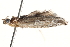  ( - BIOUG14608-E02)  @12 [ ] CreativeCommons - Attribution (2014) CBG Photography Group Centre for Biodiversity Genomics