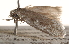  ( - BIOUG14608-H01)  @12 [ ] CreativeCommons - Attribution (2014) CBG Photography Group Centre for Biodiversity Genomics
