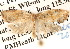  ( - BIOUG14609-D12)  @11 [ ] CreativeCommons - Attribution (2014) CBG Photography Group Centre for Biodiversity Genomics