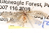  ( - BIOUG14609-E06)  @13 [ ] CreativeCommons - Attribution (2014) CBG Photography Group Centre for Biodiversity Genomics