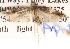  ( - BIOUG14609-F08)  @12 [ ] CreativeCommons - Attribution (2014) CBG Photography Group Centre for Biodiversity Genomics