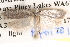  ( - BIOUG14609-F12)  @12 [ ] CreativeCommons - Attribution (2014) CBG Photography Group Centre for Biodiversity Genomics