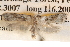  ( - BIOUG14609-G10)  @13 [ ] CreativeCommons - Attribution (2014) CBG Photography Group Centre for Biodiversity Genomics
