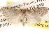  ( - BIOUG14609-H01)  @14 [ ] CreativeCommons - Attribution (2014) CBG Photography Group Centre for Biodiversity Genomics