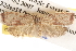  ( - BIOUG14610-A04)  @14 [ ] CreativeCommons - Attribution (2014) CBG Photography Group Centre for Biodiversity Genomics